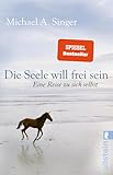 Die Seele will frei sein von Michael A. Singer