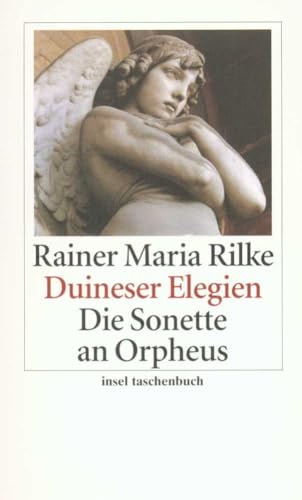 Duineser Elegien und Die Sonette an Orpheus von Rainer Maria Rilke