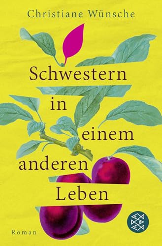Schwestern in einem anderen Leben von Christiane Wünsche