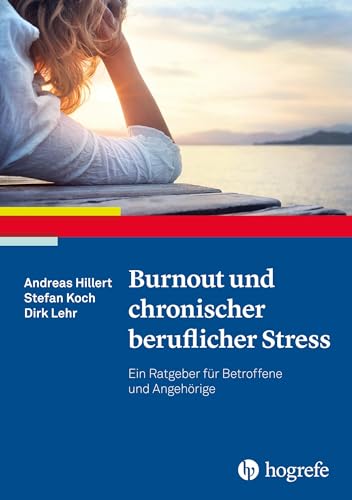 Burnout und chronischer beruflicher Stress von Stefan Koch & Dirk Lehr & Andreas Hillert