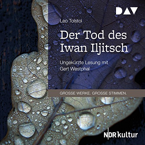 Der Tod des Iwan Iljitsch von Leo Tolstoy