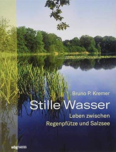 Stille Wasser von Bruno P. Kremer