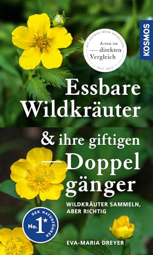 Essbare Wildkräuter und ihre giftigen Doppelgänger von Eva-Maria Dreyer