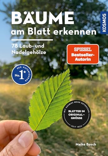 Bäume am Blatt erkennen von Meike Bosch
