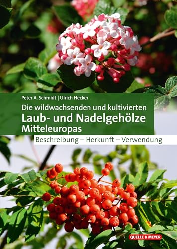 Laub- und Nadelgehölze Mitteleuropas von Peter A. Schmidt & Ulrich Hecker