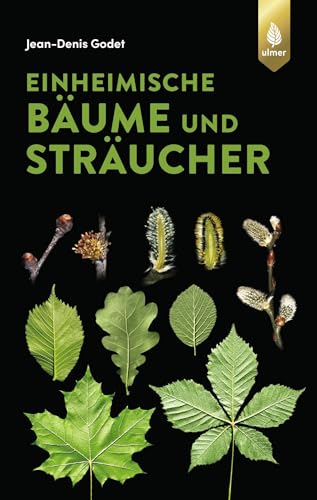 Einheimische Bäume und Sträucher von Jean-Denis Godet